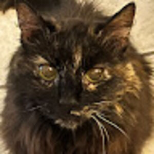 Meet your Posher, Riley